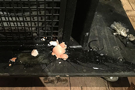 Группу «Воскресение» забросали яйцами на концерте в Крыму