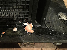 Группу «Воскресение» забросали яйцами на концерте в Крыму