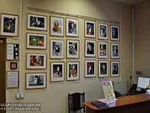 «Культпоход»: в районе пройдут соревнования по фехтования