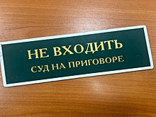 В Кузбассе живодеру дали 3,5 года за избиение амстаффа