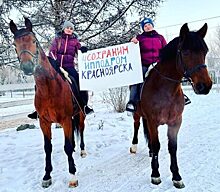 Активисты организовали сбор подписей в защиту красноярского ипподрома