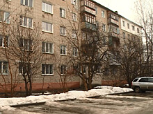 Дистанционную занятость планируют использовать почти 68% компаний