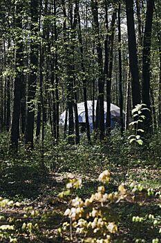 В гармонии с собой и природой: отдых в Вили Улей Ока
