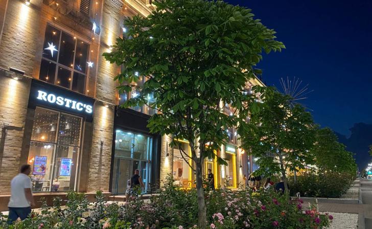 В Курске 14 саженцев лип вдоль улицы Ленина посадят работники ЦУМа