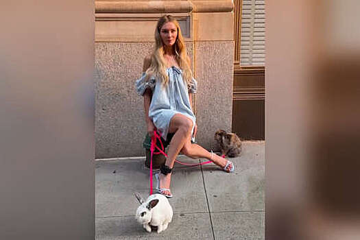 Мошенница Делви пожертвовала $1 млн на благотворительность кроликам после скандала