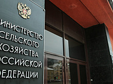 Минсельхоз урежет программу развития села