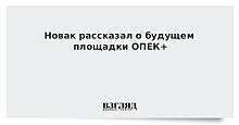 Новак рассказал о будущем площадки ОПЕК+