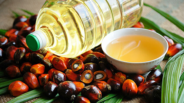 Россия увеличила импорт пальмового масла на 20%