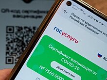 Перевозчикам Татарстана предоставят субсидии на приобретение техники для проверки QR-кодов