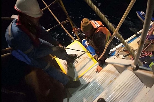 Российские мореходы продолжат экспедицию после нападения акул