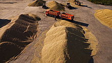 В Оренбургской области намолотили более 4 миллионов тонн зерна