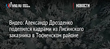 Видео: Александр Дрозденко поделился кадрами из Лисинского заказника в Тосненском районе