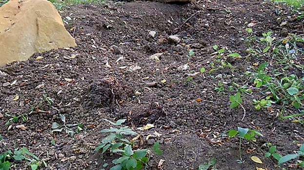 «Черные копатели» разорили три археологических памятника на Ямале