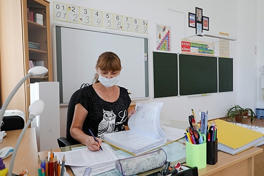 Волгоградские школы не будут переводить на дистант из-за коронавируса