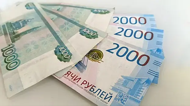 В России могут начать платить зарплату домохозяйкам