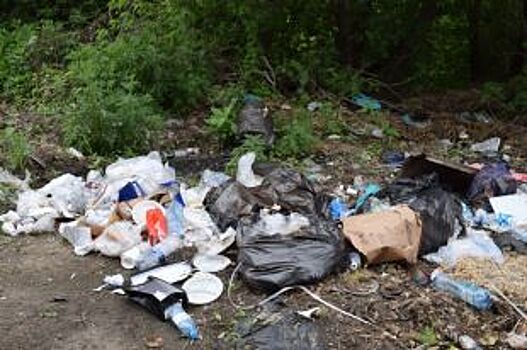 Жители омских деревень чаще болеют онкологией из-за сжигания мусора в печах