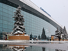 Повторный аукцион по продаже Домодедово пройдет 29 января с понижением цены