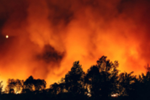 Лесной пожар вспыхнул в турецком городе Мармарисе