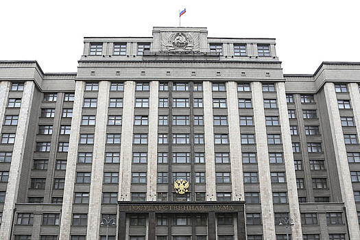 В Госдуме объяснили включение США и Чехии в список недружественных стран