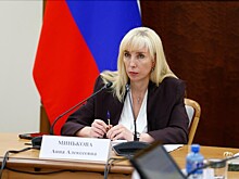 Доходы свёкров Анны Миньковой за два года выросли почти в шесть раз