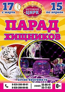 Цирк приглашает на программу с редкими белыми тиграми