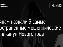 Россиянам назвали 3 самые распространенные мошеннические схемы в канун Нового года