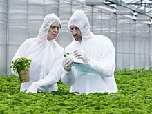 В Комиссии по борьбе с лженаукой РАН решили не торопиться с третьим меморандумом по ГМО