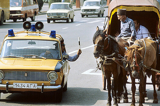 Кучеры сдадут на права