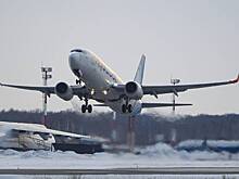 Авиакомпания из ОАЭ решила возобновить рейсы в Минводы
