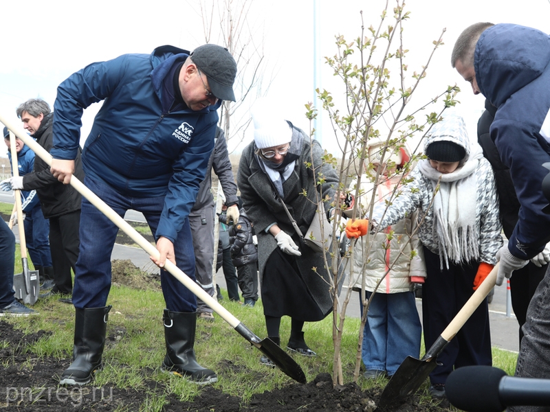 В Пензе участниками всероссийского субботника стали 8 тыс. человек