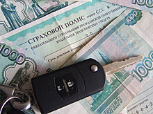 Московским автолюбителям следует опасаться вандалов, стихий и даже животных