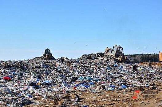 Конкурс по выбору мусорного оператора в Петербурге остановили из-за жалобы