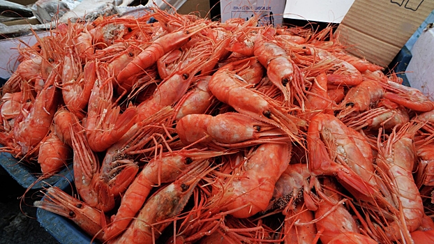 Рынок морепродуктов в России показал рост в первом квартале 2025 года