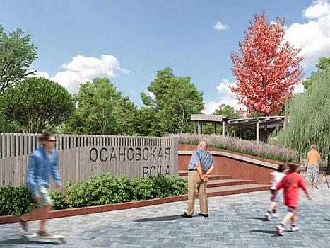 Как жители российских городов обустраивают общественные пространства