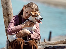 "Волшебник Изумрудного города" стал самым кассовым российским фильмом 2025 года