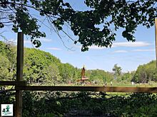 Полиция начала проверку из-за вырубки деревьев у Щелоковского хутора