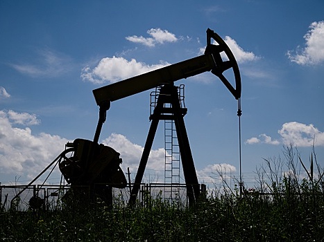 Новак: Россия ожидает роста потребления нефти в 2017 году