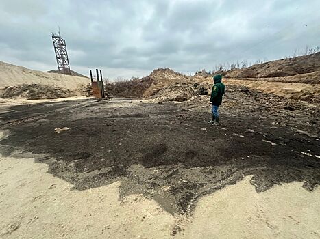 Три предприятия приостановили работу после проверки Росприроднадзора