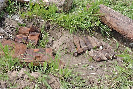 Боеприпасы времен ВОВ обнаружили в Московской области