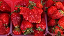 Ученые назвали защищающую от маразма ягоду