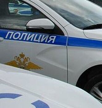 Пьяная рецидивистка ограбила девочку в Краснобаковском районе
