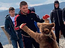 Нурмагомедов провел "спарринг" с медведем