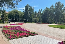 На оформление и содержание цветочных клумб в двух округах мэрия потратит 3 млн рублей