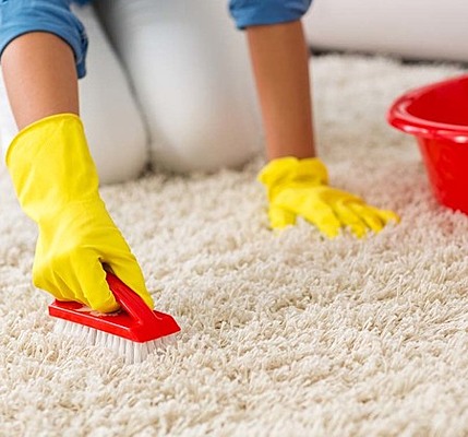 Как убрать запах кошачьей мочи на ковре в домашних условиях -  Рамблер/женский