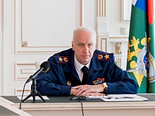 Бастрыкин заинтересовался гибелью нижегородца из-за упавшего дерева