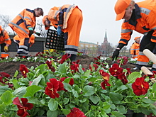 Работу найдут для всех уволенных