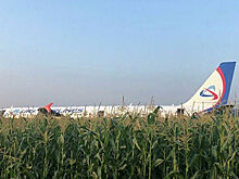 ЧП в Жуковском: виноват может быть аэропорт