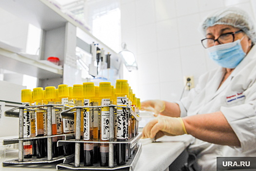 В Челябинской области выбрали базы для больных оспой обезьян