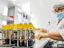 В Челябинской области выбрали базы для больных оспой обезьян