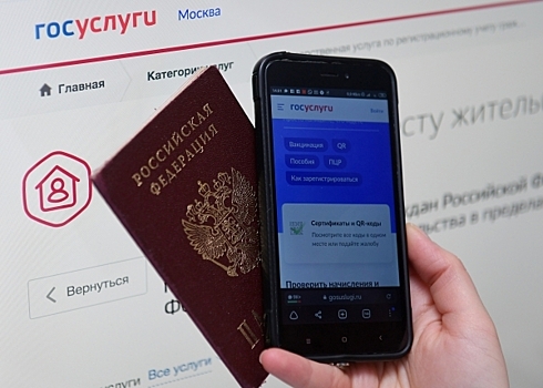 «Это гордость!»: Почему бумажный российский паспорт не исчезнет